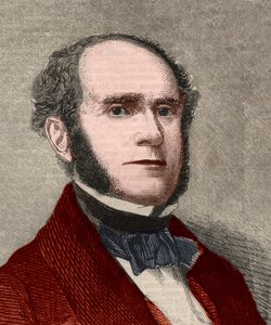 Fitz-Greene (Fitz Greene) Halleck (1790-1867) amerikai költő portréja. Metszet az 1858. január 23-i „” The illustrated London News”-ba. alkotó: Unknown artist
