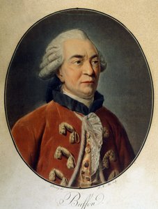 Georges Louis Leclerc, Buffon gróf (1707-1788), francia természettudós és író portréja. alkotó: Unknown artist