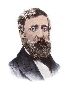 Henry David Thoreau (1817-1862) portréja - amerikai esszéista, költő, filozófus, abolicionista, természettudós, adóellenálló, fejlesztéskritikus, földmérő és történész alkotó: Unknown artist
