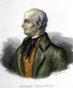 Lazzaro Spalanzani (vagy Spallanzani) olasz biológus (1729-1799) portréja alkotó: Unknown artist