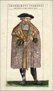 Leonhart Fuchs portréja: botanikus – német orvos (1501-1566) – Leonhart Fuchs "A Stirpium története jelvények kommentárjaival,..." című könyvében alkotó: Unknown artist