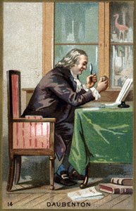 Louis Jean Marie Daubenton, Daubenton (1716-1800) francia természettudós portréja. századi kromolitográfiája. alkotó: Unknown artist