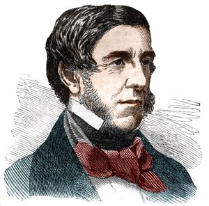 Oliver Wendell Holmes (1809-1894) amerikai író, orvos, esszéista és költő portréja. alkotó: Unknown artist