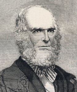 William Cullen Bryant (1794-1878) amerikai költő portréja. Metszet az 1858. január 23-i „” The illustrated London News”-ba. alkotó: Unknown artist