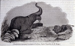 Őstörténet: Dinotherium ábrázolása, pachyderm típusa, oroszlán támadásának taszítása. századi metszet alkotó: Unknown artist