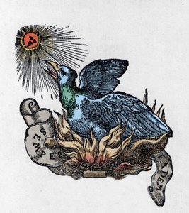 Főnix (vagy főnix), legendás madár ábrázolása, amely hamvaiból újjászületett. századi metszet alkotó: Unknown artist