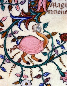 Egy szörnyeteg ábrázolása strucctesttel és emberi fejjel. 14. századi kézirat miniatűrje. Milánó, Biblioteca Nazionale Braidense. alkotó: Unknown artist