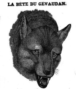 A Bete du Gevaudan képviselete. alkotó: Unknown artist