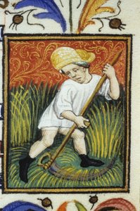 Június hónap ábrázolása. Zöld búzát kaszáló paraszt. 14. századi kézirat miniatűrje. alkotó: Unknown artist