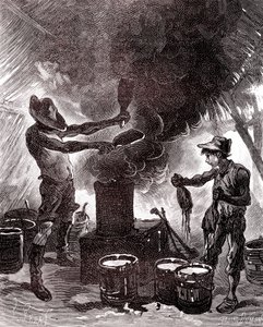 Gumi előkészítés vagy vulkanizálás a brazil erdőben alkotó: Unknown artist