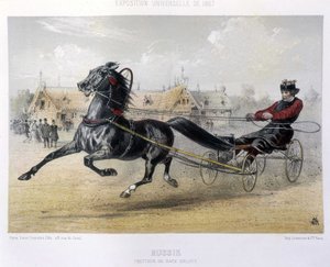 Oroszország: Orloff fajta ügető - a "" The Kentaur" című filmben 1867 alkotó: Unknown artist