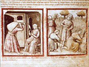 Ruth és Noémi (Naomi, Noémie) Boaz (Booz) területén dolgoznak Miniatűr a 212-es kódexből (vagy padovano-kódexből vagy Padovai Bibliából) 1390-1400 Rovigo, Accademia dei Concordi alkotó: Unknown artist