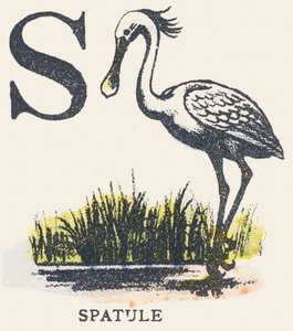 S: spatula alkotó: Unknown artist