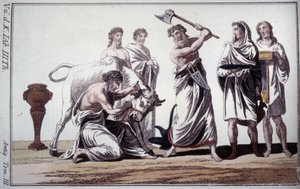 Egy bika feláldozása. Szokás a római ókorban. 19. század eleji metszet. alkotó: Unknown artist