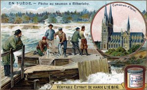 Lazachalászat Elfkarlebyben, Svédországban. Kromolitográfia, Liebig-kép. alkotó: Unknown artist