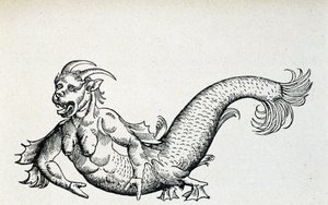 Tengeri ördög, állítólag a 15. század elején fogták el az Adriai-tengerben - Gesner szerint alkotó: Unknown artist