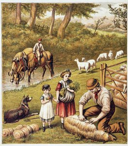 Birkakaszálás - kromolitográfiás alkotó: Unknown artist