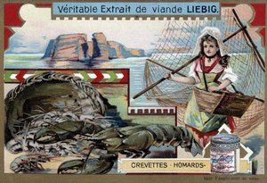 Garnélarák és homár, fiatal horgászasszonnyal, a kosarával és egy nagy hálóval - Liebig kromolitográfia alkotó: Unknown artist
