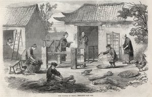 Selyemgyártás Kínában és a gyártás különböző szakaszai. alkotó: Unknown artist