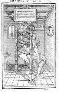 Koponya vágott. Carlo Stefano Riverio, Párizs 1545 "Az emberi test három részének boncolása..." anatómiai táblája alkotó: Unknown artist