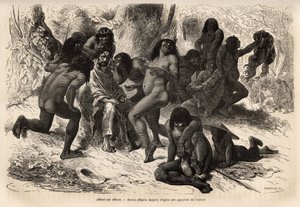 A chunchos indiánok megtámadták Marcoy csapatát a Caravaya völgyben (Andes cordilliere), de ez utóbbinak nem volt mit repülnie, az indiánok azzal szórakoztak, hogy levetkőztették a felfedezőket, és rockoo magvakkal pótolták őket. Gravírozás illustrrer le v alkotó: Unknown artist