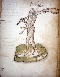 A szőrös ember - Cecco d