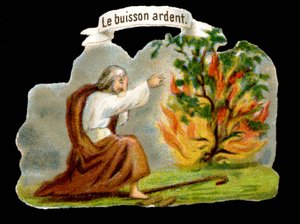 Az égő bokor - Népszerű kép. 19. századi kromolitográfia. alkotó: Unknown artist