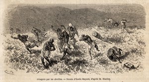 Henry Morton Stanley expedíciójának (1841-1904) szállítókaravánját a Misonghi úton (Kelet-Afrika) egy méhfelhő támadta meg. Metszet a közép-afrikai Livingstone-t kereső utazás illusztrálására Henry Stanleytől, az ország tudósítójától alkotó: Unknown artist
