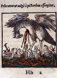 A pelikán legendája: vérét és beleit adja fiókáinak etetésére. Konrad Gesner, Tiguri Historiae animaliumból alkotó: Unknown artist