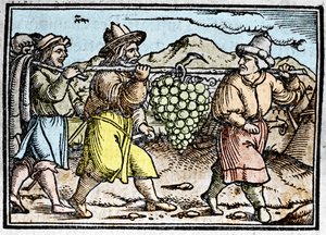 Józsué és Káleb visszatérése egy hatalmas szőlőfürttel Kánaán földjéről (Ígéret Földje). Johann Stumpff krónikája "" Den edlen strucen besten fromen"" alkotó: Unknown artist