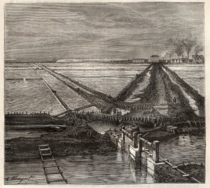 Giraud sós mocsara a Camargue-ban (Bouches-du-Rhone), kilátás a kiszolgáló csatornáról - Louis Figuier „Les Merveilles de l