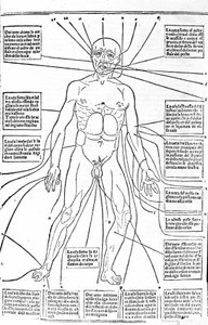 Ez a kép a test helyeit vagy a fájdalomtól függően gyakorolja a vérzést. Az orvostudomány traktátusa, Gerolamo Cardano (Cardanus Hieronymus), Firenze alkotó: Unknown artist