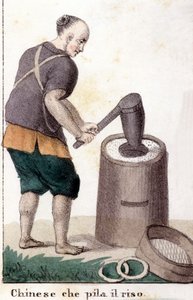 Un chinese qui pille le riz - in A világ összes népének univerzális viselete alkotó: Unknown artist