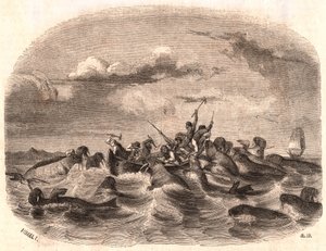 Nézet egy csoport angol tengerészről, akik egy rozmárcsordát üldöznek 1818-ban a Spitzbergák partjainál alkotó: Unknown