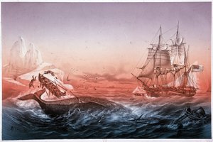 A bálnavadászhajónak nem sikerült megmentenie felborult bálnahajóit alkotó: Unknown artist
