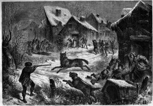 Farkasvadászat Saliers faluban, Bouches du Rhone (13), 1860. december 31. Metszet a „” Le Monde Illustré”” n¡196-ban, 1861. január 12.. alkotó: Unknown artist