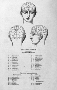 illusztráció Charles Rouvin 1873-as Organographie La Tête humaine című könyvéből, illusztrált frenológiai és fizionómiai tanulmányok híres szereplőkre alkalmazva Párizs 1873 alkotó: Unknown artist