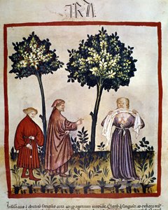 veszettség vagy dühös személy, aki szövetet szorít a fogai közé. A „Tacuinum Sanitatis” 14. századi világítása, Bécs, Nemzeti Könyvtár. alkotó: Unknown artist