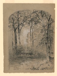 Rajz, erdőtanulmány, 1865-70 alkotó: Unknown artistUnknown artist