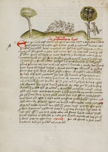 Madárraj egy fa alatt, köztük egy koronás sas, szárnyán heraldikai címerrel. alkotó: Unknown artist