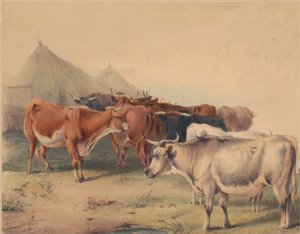 Egy marhacsorda alkotó: Unknown artist
