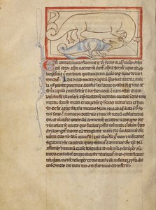 A Hydrus alkotó: Unknown artist