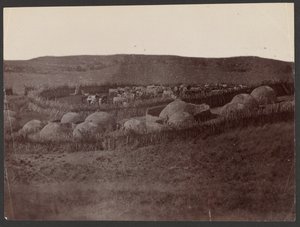 A Kraal, Zulu Land alkotó: Unknown artist