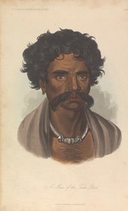 A Tuda faj embere alkotó: Unknown artist