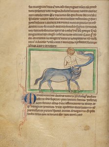 A Monocentaurus alkotó: Unknown artist