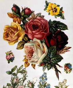 Egy csokor rózsa. 19. századi kromolitográfia. alkotó: Unknown artist