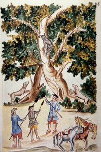 Vadmacska ül egy fán, vadászok várják, Baltazar Martinez Companion és Bujanda, Trujillo püspöke (1782-1785) "Trujillo del Peru" vagy "Codex Martinez Companion" című könyvéből alkotó: Unknown artist