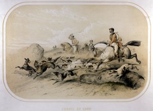 Farkasvadászat. 19. századi metszet. alkotó: Unknown artist