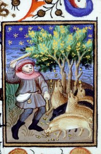 November allegorikus ábrázolása. Egy férfi egy csoport disznóval, aki makkot eszik. 14. századi kézirat miniatűrje. alkotó: Unknown artist