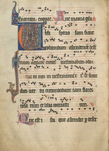 Antiphonal alkotó: Unknown artist